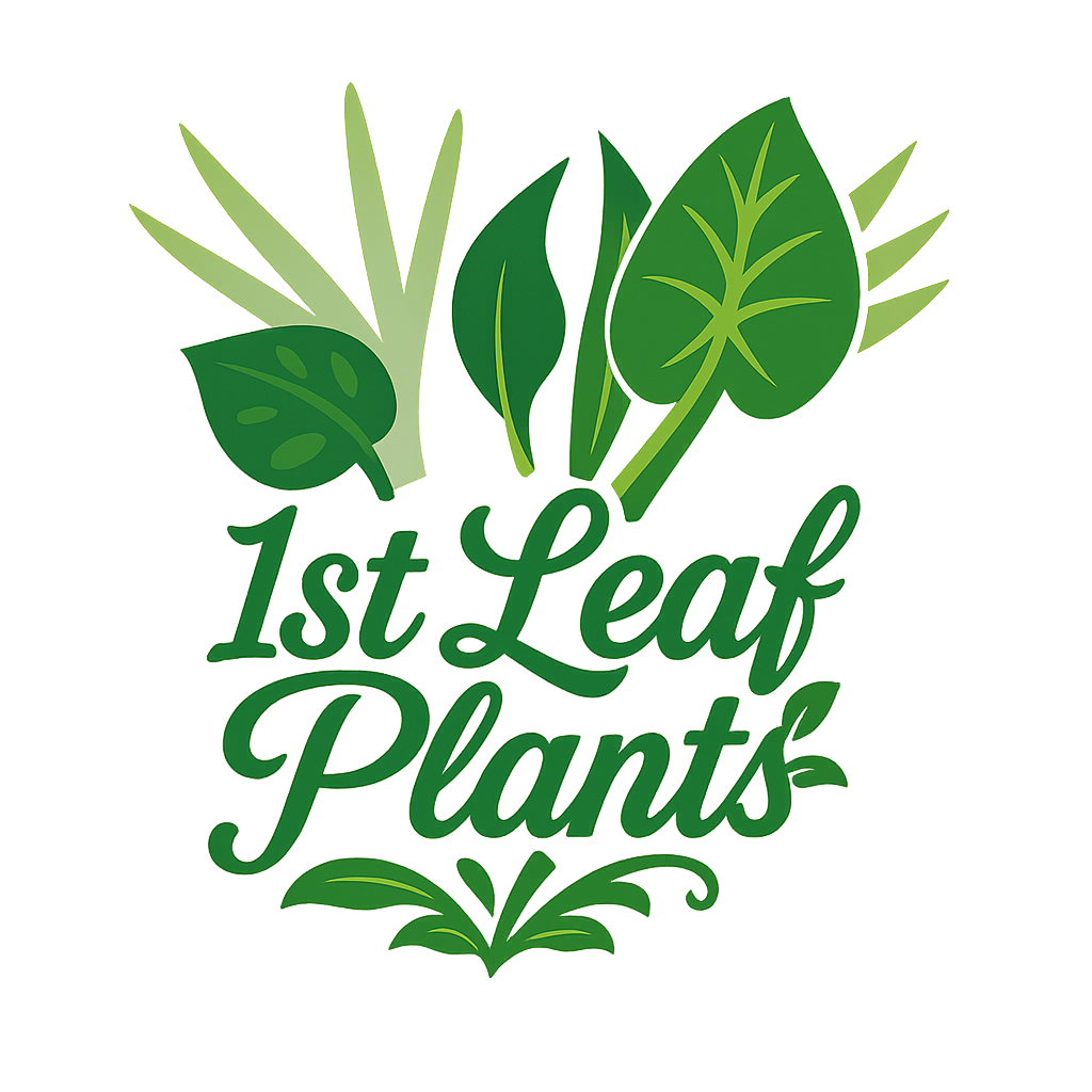1st Leaf Plants ロゴ